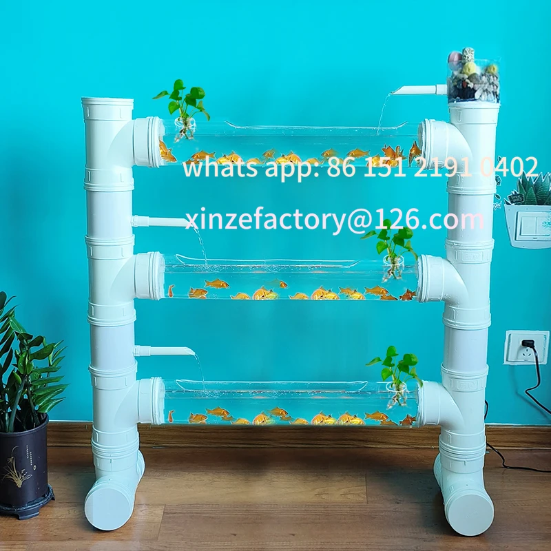 

Customizable transparent tube fish rack three-dimensional creativity
