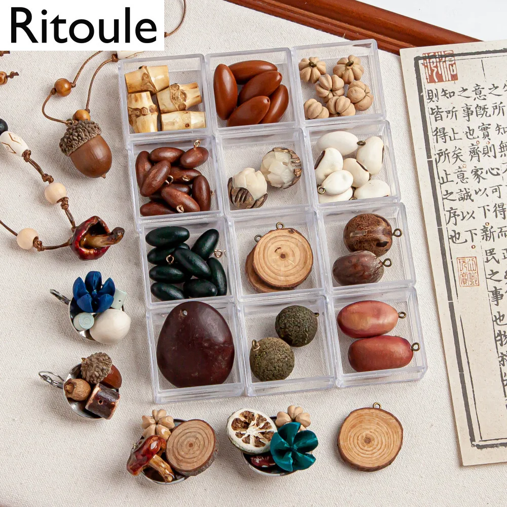 Natural Acorn & Bodhi Fruit with Eye Pins, DIY Craft Supplies for Creative Earrings & Bracelets（2 pcs）