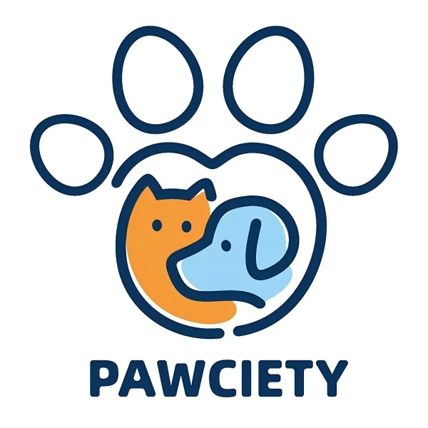 Portachiavi personalizzato trasparente a forma di gatto con nome per conservare i peli dell'animale domestico Regalo commemorativo di simpatia per i proprietari di gatti - CALLIE