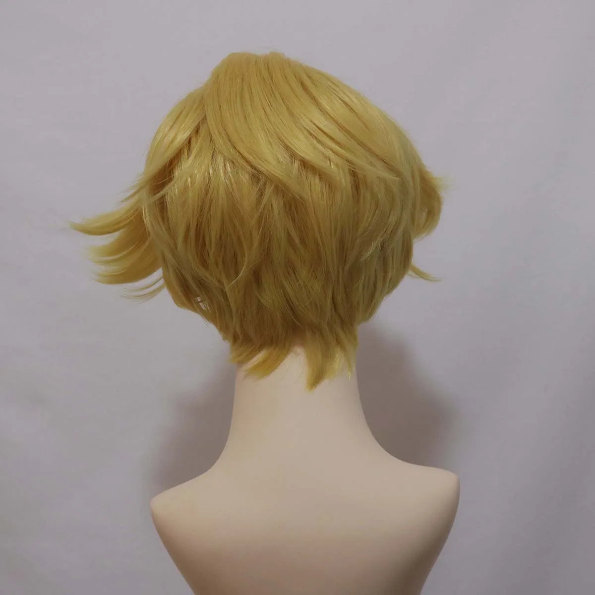 Halloween Carnival Anime The Little Small Prince Cosplay Wig