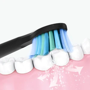 Fairywill Electric Sonic Toothbrush USB Charge FW-D7S Rechargeable Waterproof Electronic Tooth Brushes Replacement Heads Adult