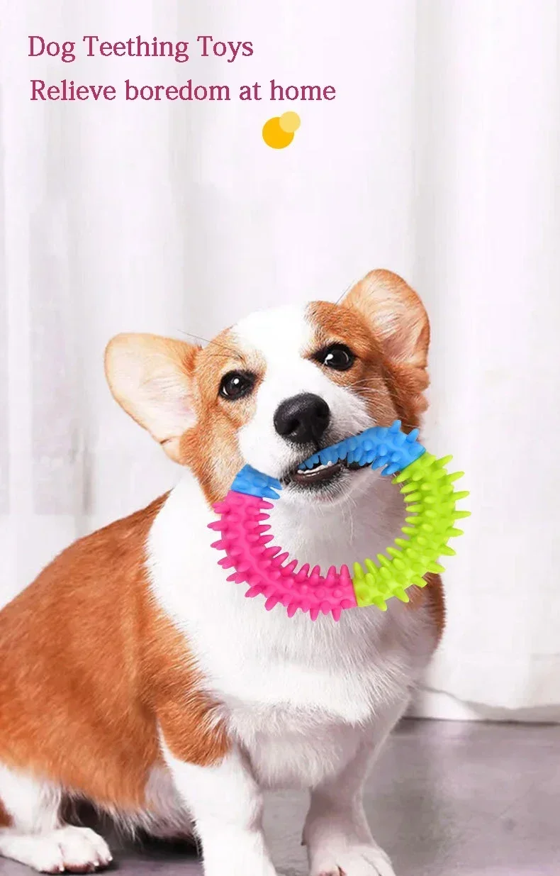 Niedliche Hundespielzeuge: Trainings-Frisbees, Haustier-Ring, Stacheliger Kreisring, Beiß- und Kau-Spielzeug zur Zahnreinigung, Haustierbedarf, Hundezubehör – Detail 5