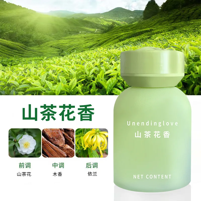 

Premium Car Home Fragrance Set Long Lasting Aroma for Office Room Car Air Freshener Home Fragrance Products