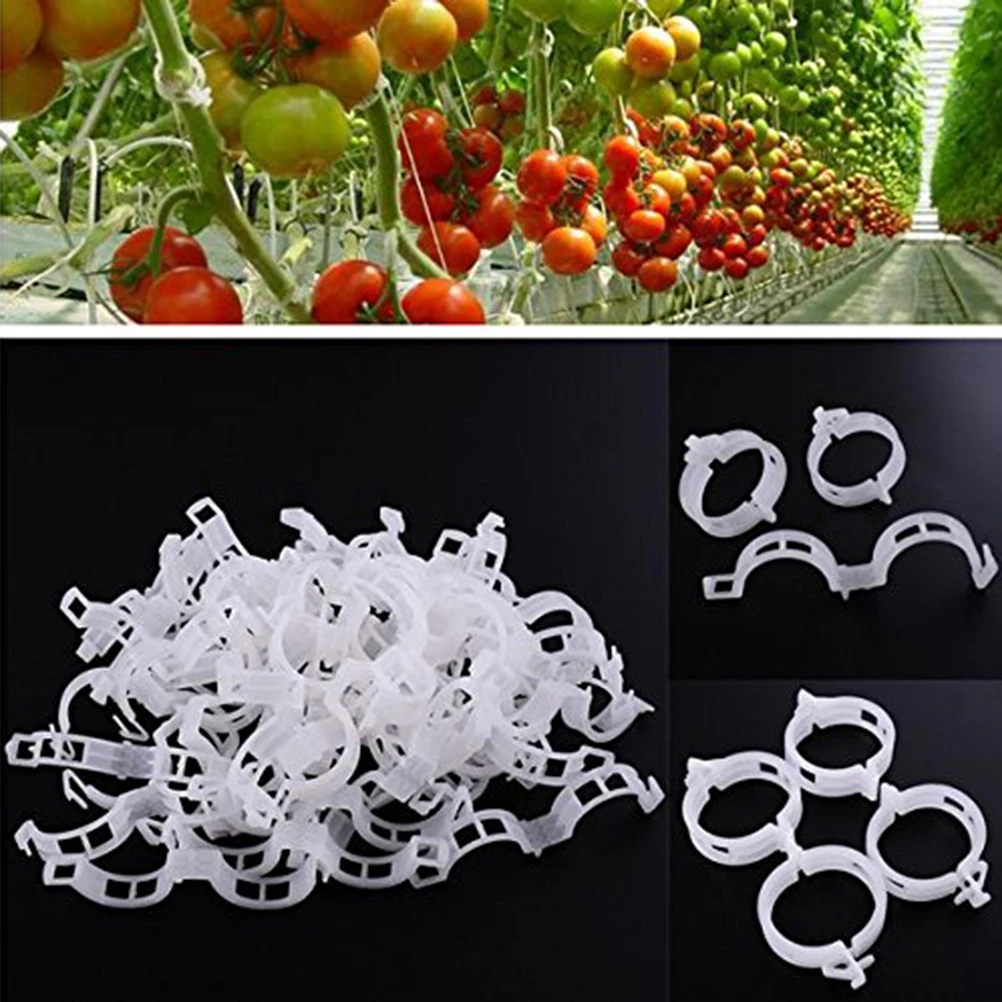 

100pcs Plant Clips Vine Support Garden Tomato Trellis Anti-Slip Ventilated Design for Vegetables Flowers Plants Fixed Bracket