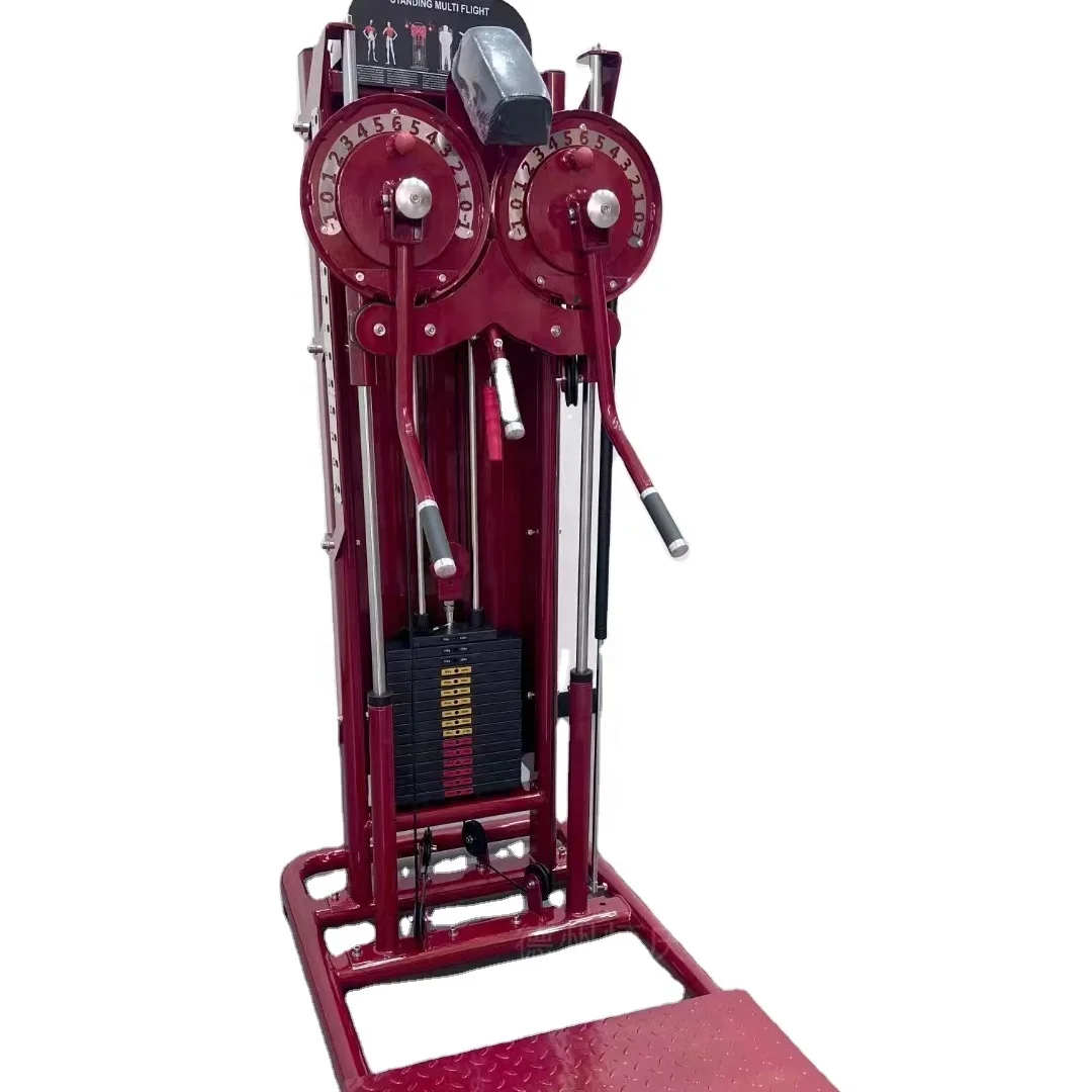 2026 Integrated Arm Row Lateral Raise Machine Standing Fitness Equipment