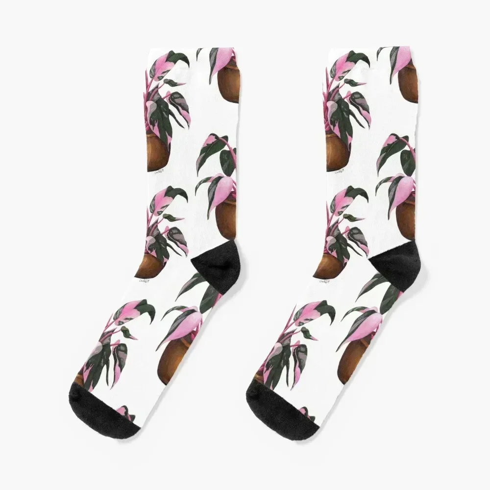 

Philodendron 'Pink Princess' Socks Rugby gifts sheer Men's Men's Socks Luxury Women's