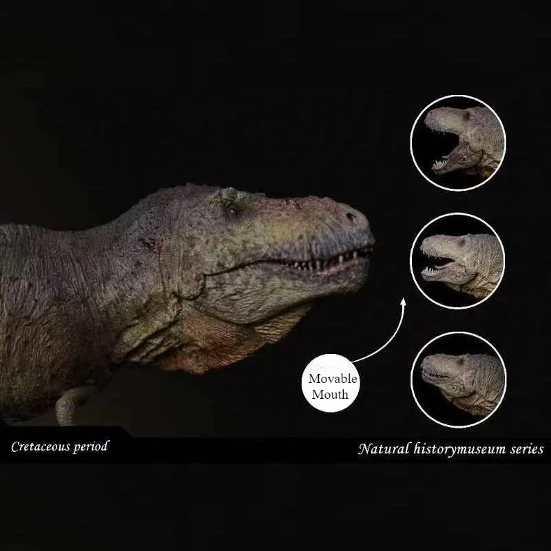 SHOWANNA 1/35 Tiranossauro Rex Scotti Dinossauro Modelo Animal Figura Coleção Decoração