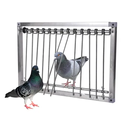 Piège à queue d'aronde en acier inoxydable, 1 pièce, porte de Pigeon, cadre métallique, fournitures de Loft d'entrée, Cage de capture d'oiseaux de course, rideau de porte de nid