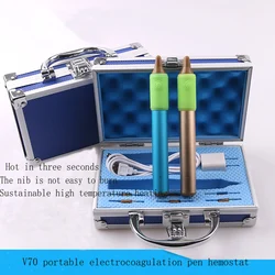 V70 Electrocoagulation Pen Hemostatic Device Double Eyelid Cut Eyebrow Beauty Plastic Surgery Rechargeable Tool