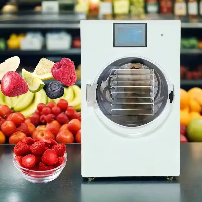 Large Vacuum HFD-15 Dryer For Fruit Vegetable Lyophilizer Freeze Drying Machine 20kg/24h Small Vacuum Freeze-drying Equipment