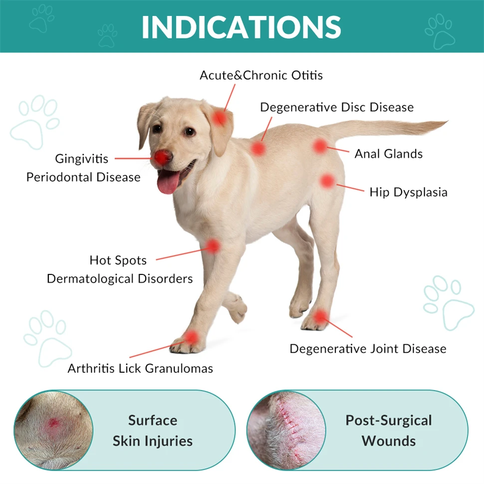 Dispositivo de luz para aliviar el dolor en el hogar, 650nm x 16 diodos + 808nm x 4 diodos, esguince deportivo, curación de heridas, aparato de fisioterapia para mascotas y humanos