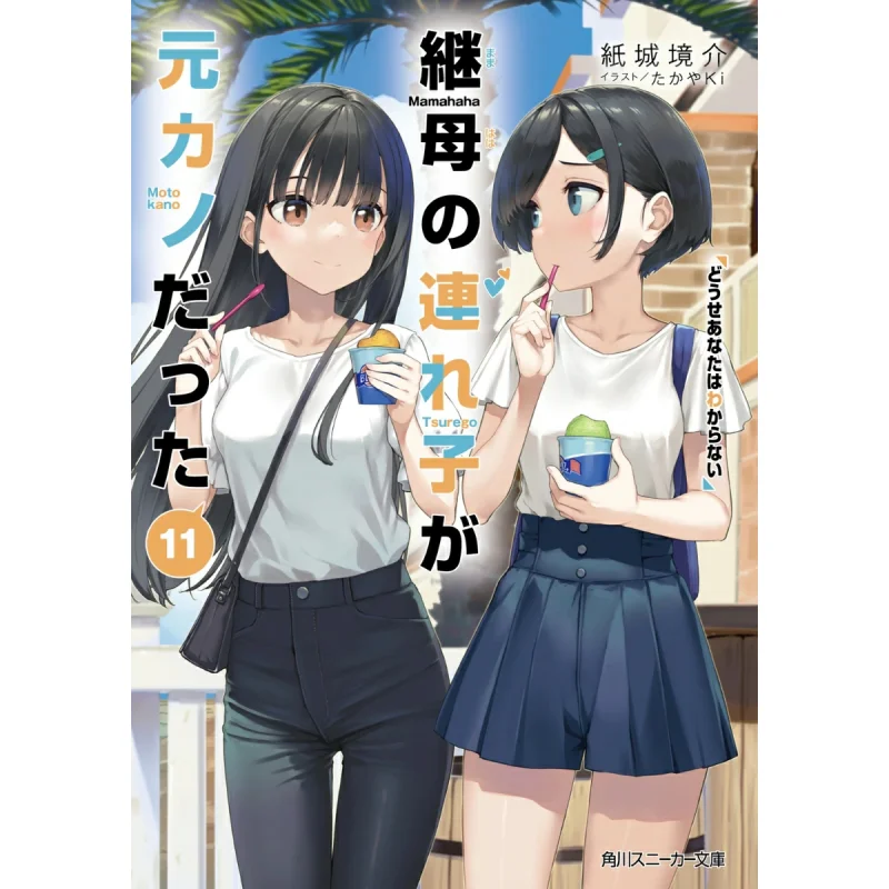 

My Stepmothers Stepmothers Stepson Was My Exgirlfriend You Dont Know Paper City Environment Introduction 9784041142769