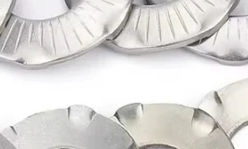 10~50Pcs M4 M5 M6 M8 M10 M12 Toothed Lock Washers 304 Stainless Steel Bridge Claw Grounding Butterfly Anti-loosening Lock Washer