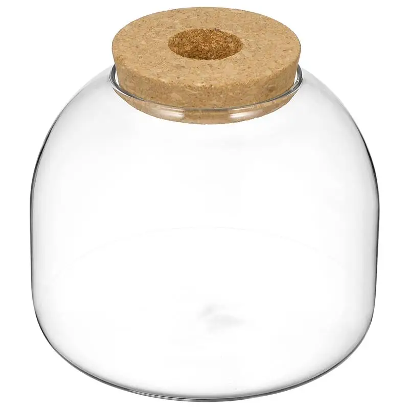 Cork Glass Bottle Plant Terrarium Large Landscape Flower Pots Ecosystem Small Container Bracket Cookie Jar Office