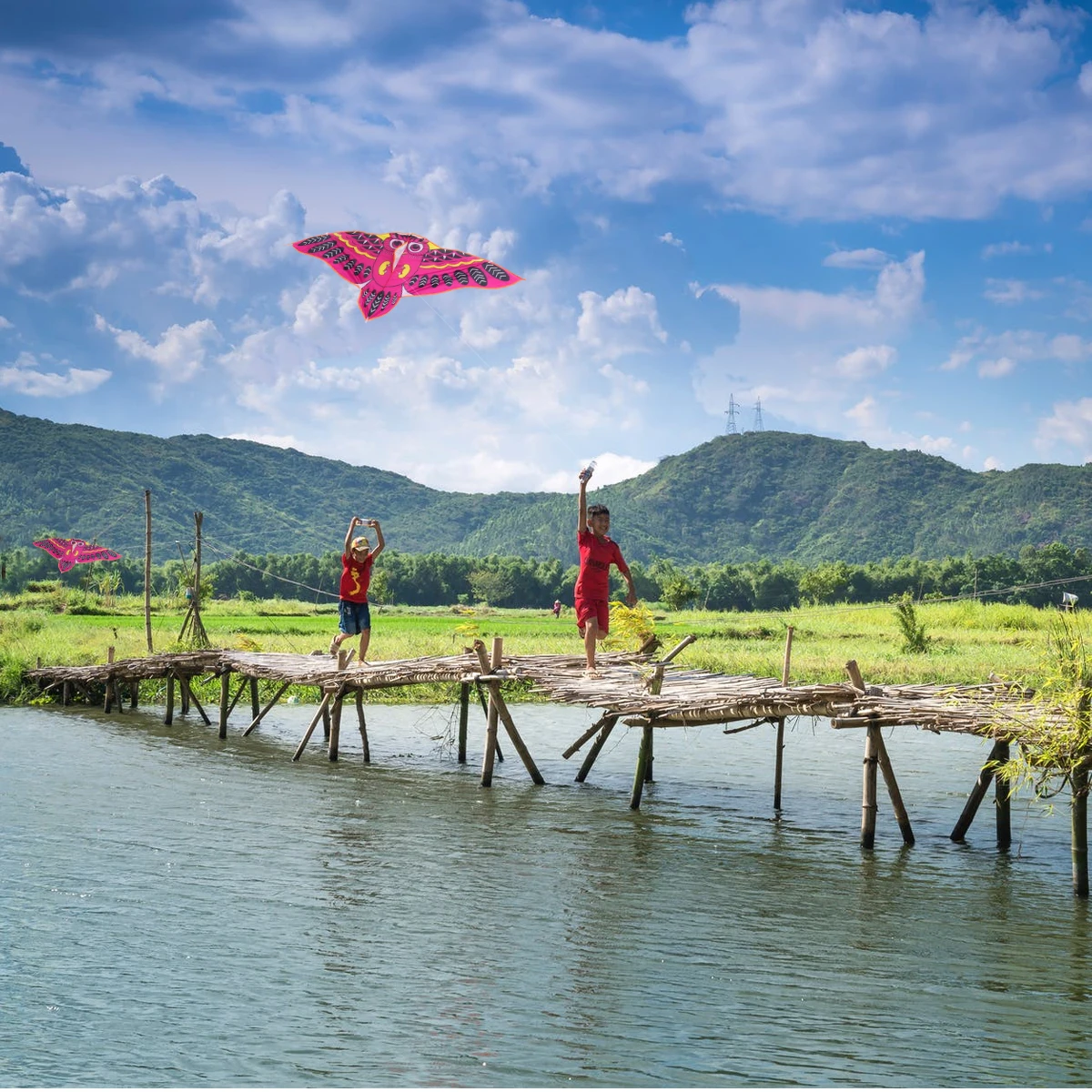 

2Pcs Fun Owl Design Kite Smooth Flight Performance Kids Family Outdoor Kite for Park Garden Beach Entertainment