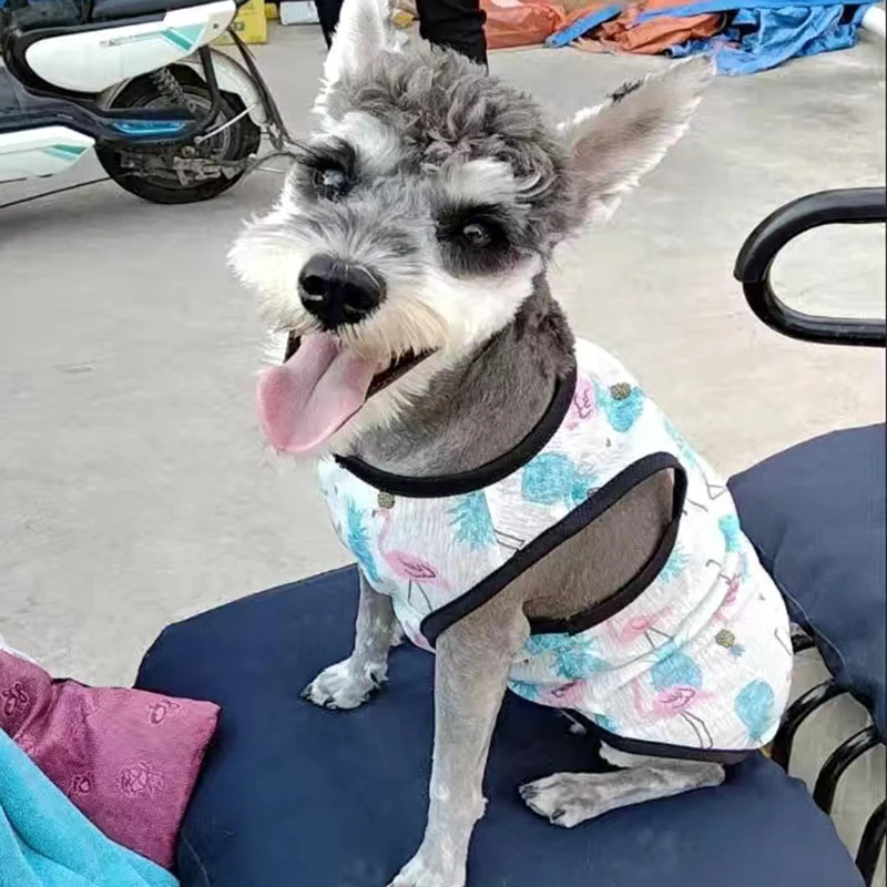 뜨거운 판매 강아지 강아지 조끼 Tshirt 작은 개를위한 여름 애완 동물 옷 치와와 Corgi 요크셔 셔츠 고양이 의류 chaleco perro