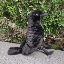 Simulated Animal Crow Corvus Validus Black Bird Ravens Jackdaw Wild Nature Zoo Model Plush Toy Stuffed Doll Girl Boy Friend Gift
