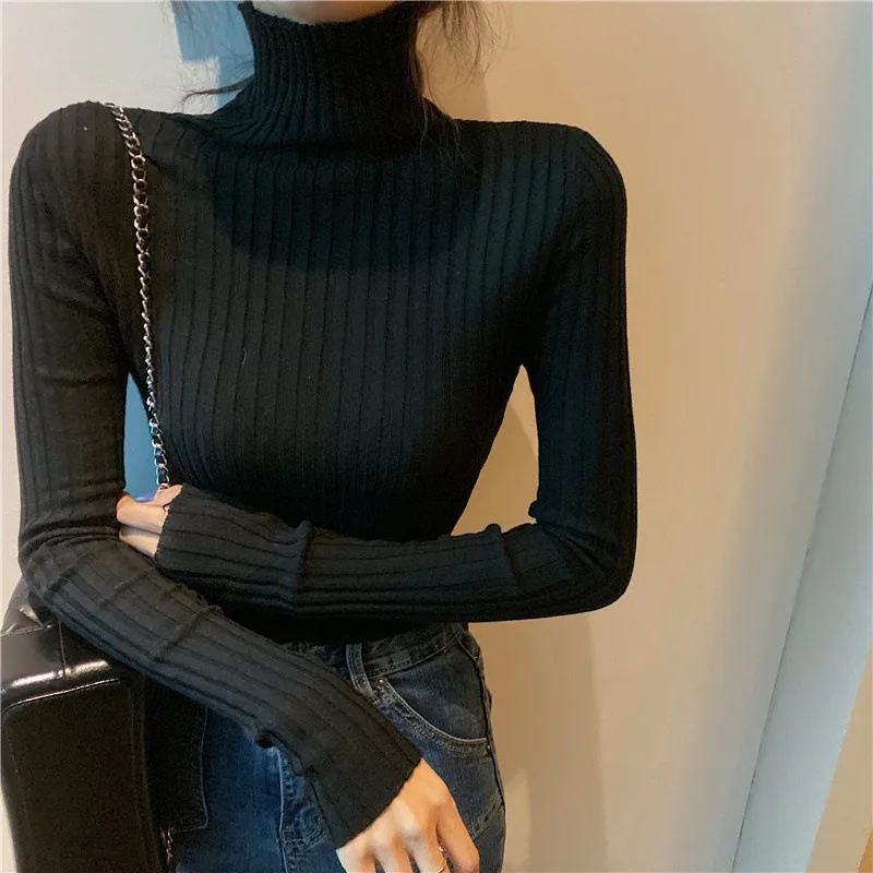 Chic Autumn Winter Sweater Women Pullovers Long Sleeve Casual Turtleneck Warm Basic Sweater Knit Jumpers Top