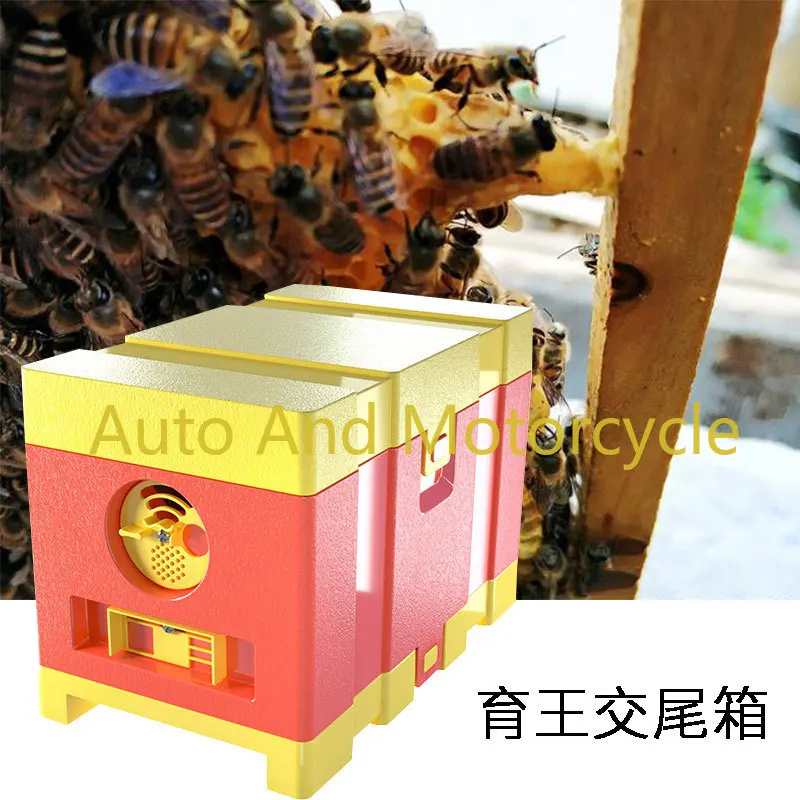 Plastic Mating Box Durable & Stackable Queen Bee Rearing Box for Beekeeping Mini Beehive Hive Bee Equipments Box