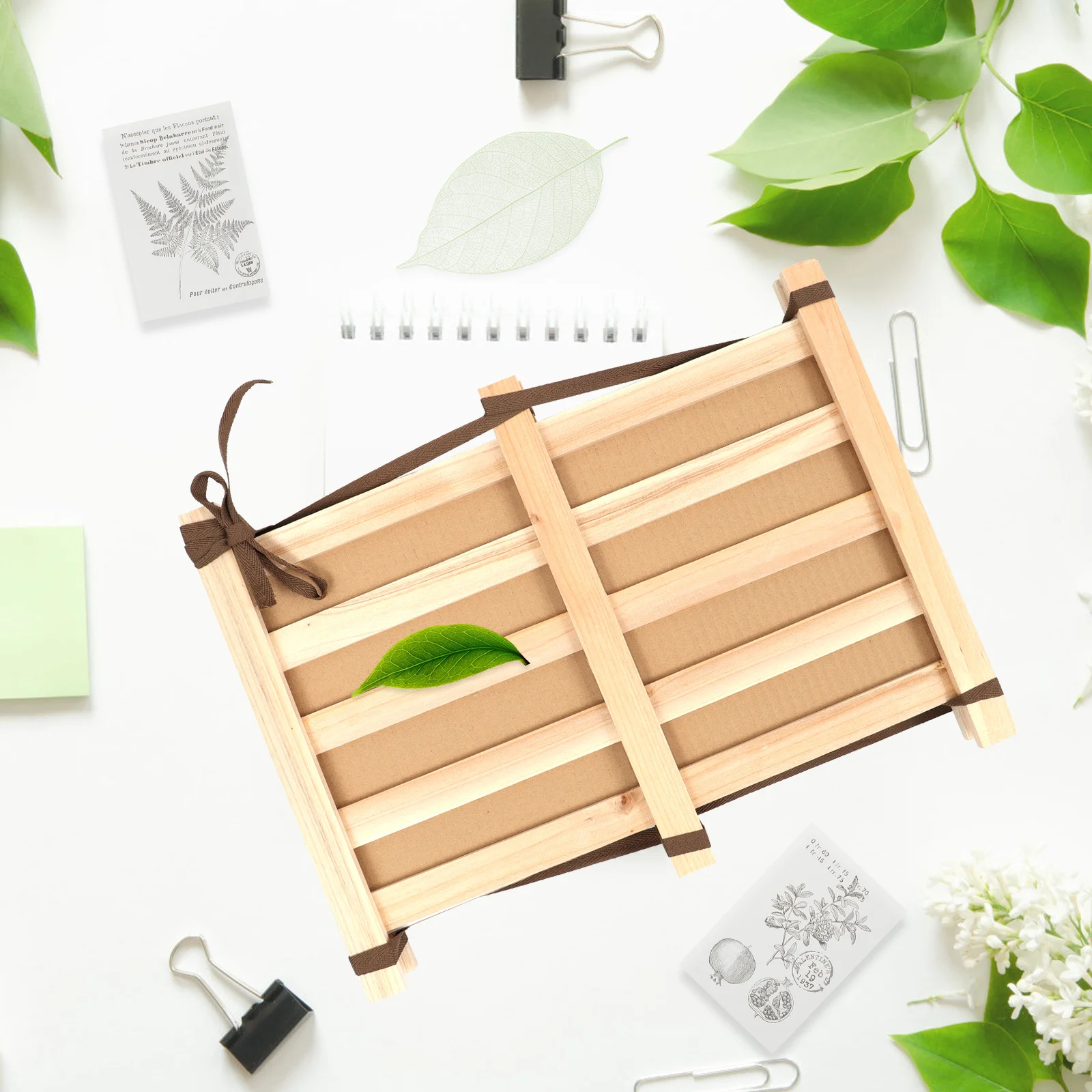 

1Set Herbarium Making Clip Wooden Specimens Holder Durable Educational Tool Teaching Laboratory Specimen Equipment