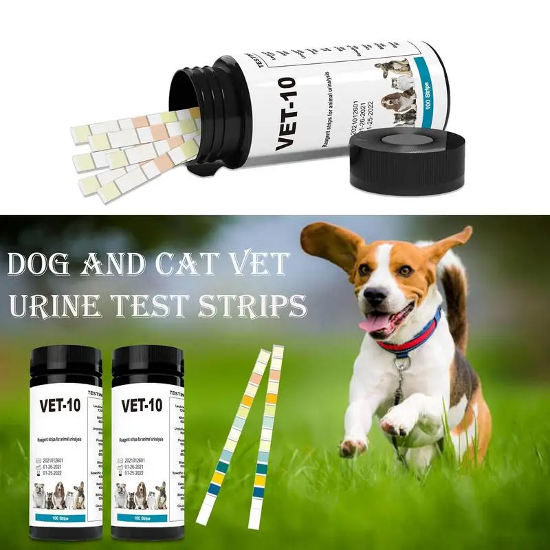 Pet Urine Testing Strips 10 In 1 Urinalysis Parameter Tests For Monitoring Pet Health 10 In 1 Detects White Blood Cells Accurate