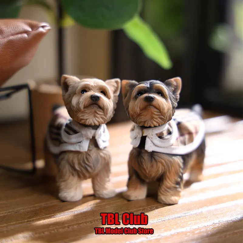 En Stock JXK229 alta 6,5 cm escala Mini simulación estática Yorkshire Terrier mascota perro casa de muñecas decoración para juguetes de figuras de acción de 12 pulgadas