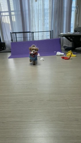 리뷰 사진