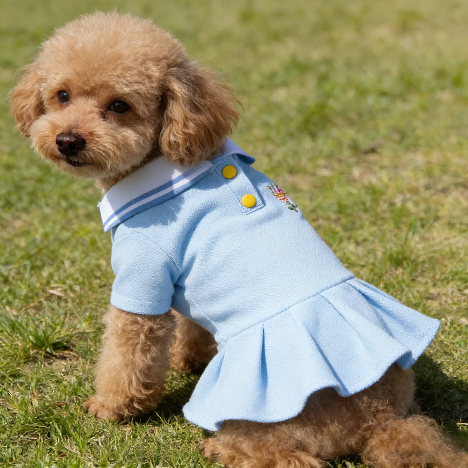 Thumbnail 3 - #41 Trending Pet Apparels Right Now