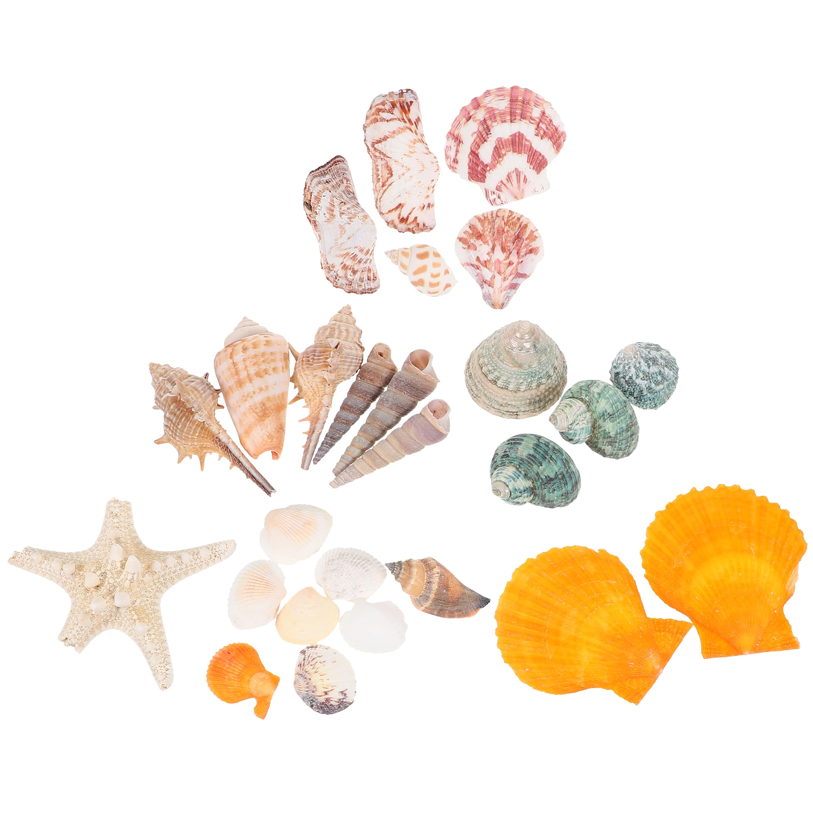 

Conch Shell Natural Tank Shells Decorations Landscaping Aquarium Fish Tank Home Store Gift Safe