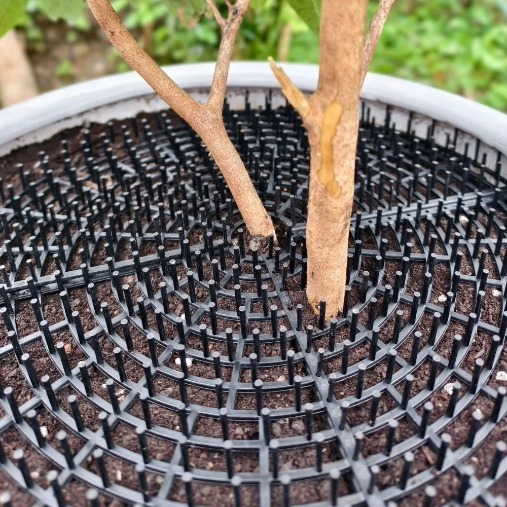 Breathable Mesh Plant Pot Soil Protector Grid Cover Cutting Barbed Cut-Outs Spiked Soil Protection Grid with Included Stakes