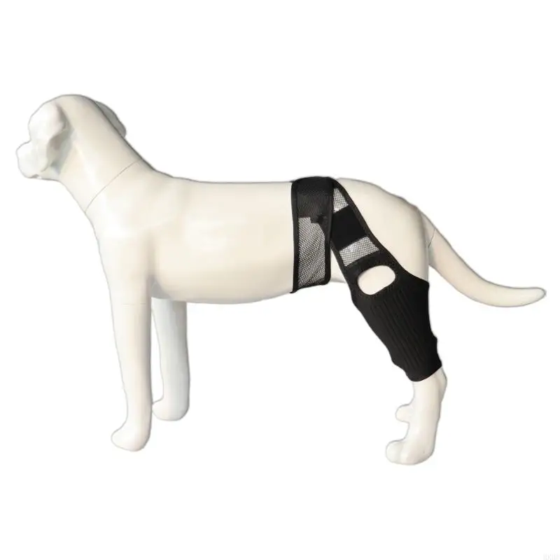 Dog Rear Limb Support Sleeve Band For Joint Uncomfort And Mobilities Assistance HX6C
