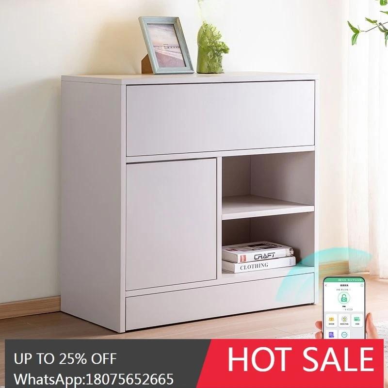 HLZ Hidden Grid Storage Cabinet Multi-Functional Concealed Anti-Theft Large Capacity Safe