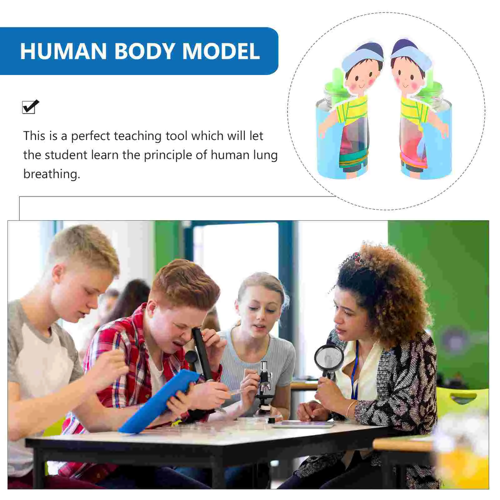 2 Sets Kids Puzzles Lung Breathing Model Mannequin Body Human Organ DIY Assembly Manikin Child