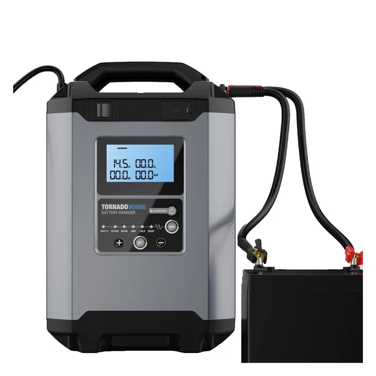 TOPDON T90A Professional 24 Volt 30 Amp12V 24V Lead-Acid Batteries With Current/Voltage Edit Function Smart Car Battery Charger
