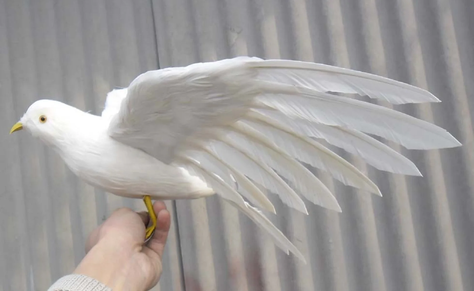 

new simulation white pigeons toy lifelike wings seagull doll gift about 48x30cm