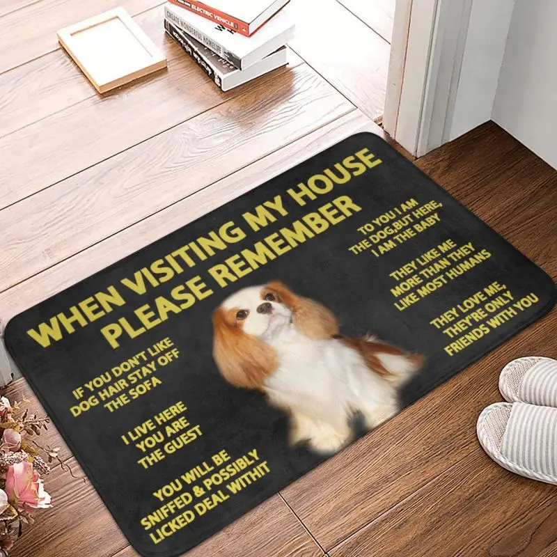 Personalized Please Remember Cavalier King Charles Spaniel Doormat Mat Anti-Slip Dog Kitchen Bathroom Balcony Rug Carpet 40*60cm