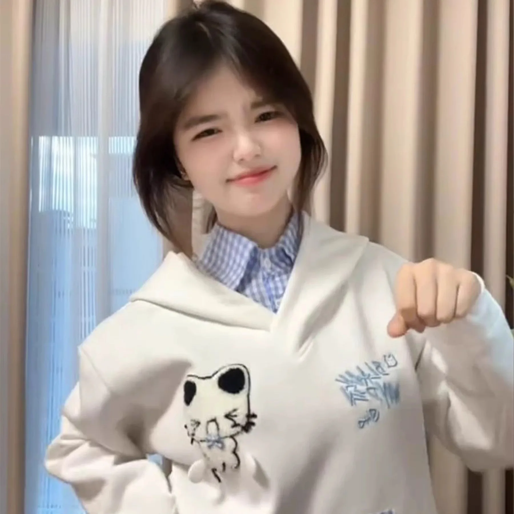 Y2K Übergroßer süßer Hoodie Damen Niedlicher Hund Stickerei Sweatshirt Herbst Winter Lose Pullover Harajuku Kawaii Kapuzenoberteile