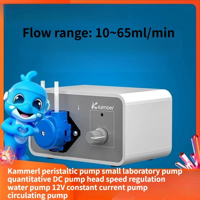 Quantitative DC Brush Motor, Start and Stop Speed Regulating Water Pump 12V Constant Current Pump Circulating Pump