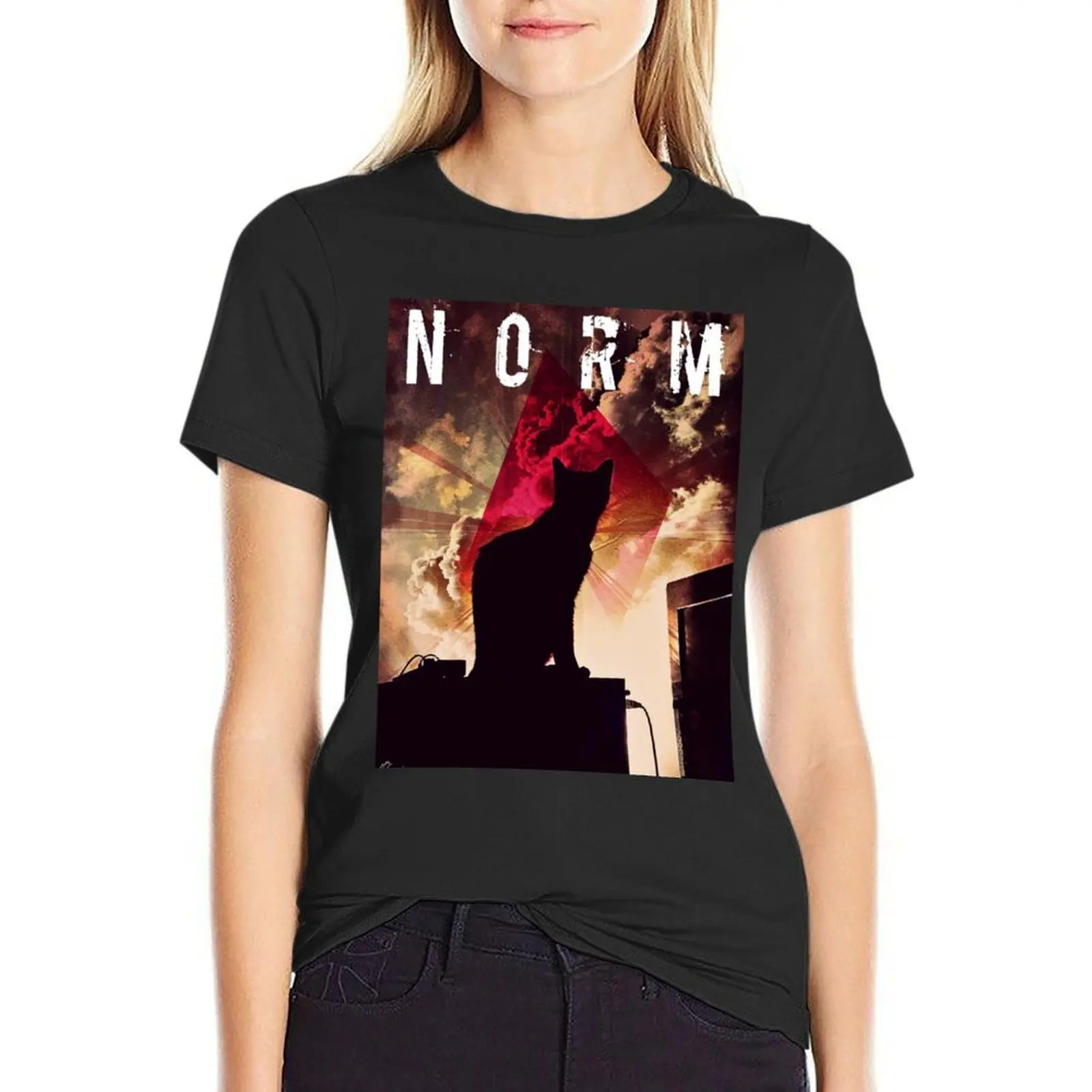 

Norm T-Shirt Female clothing quick-drying quick drying sweat t shirts for Women