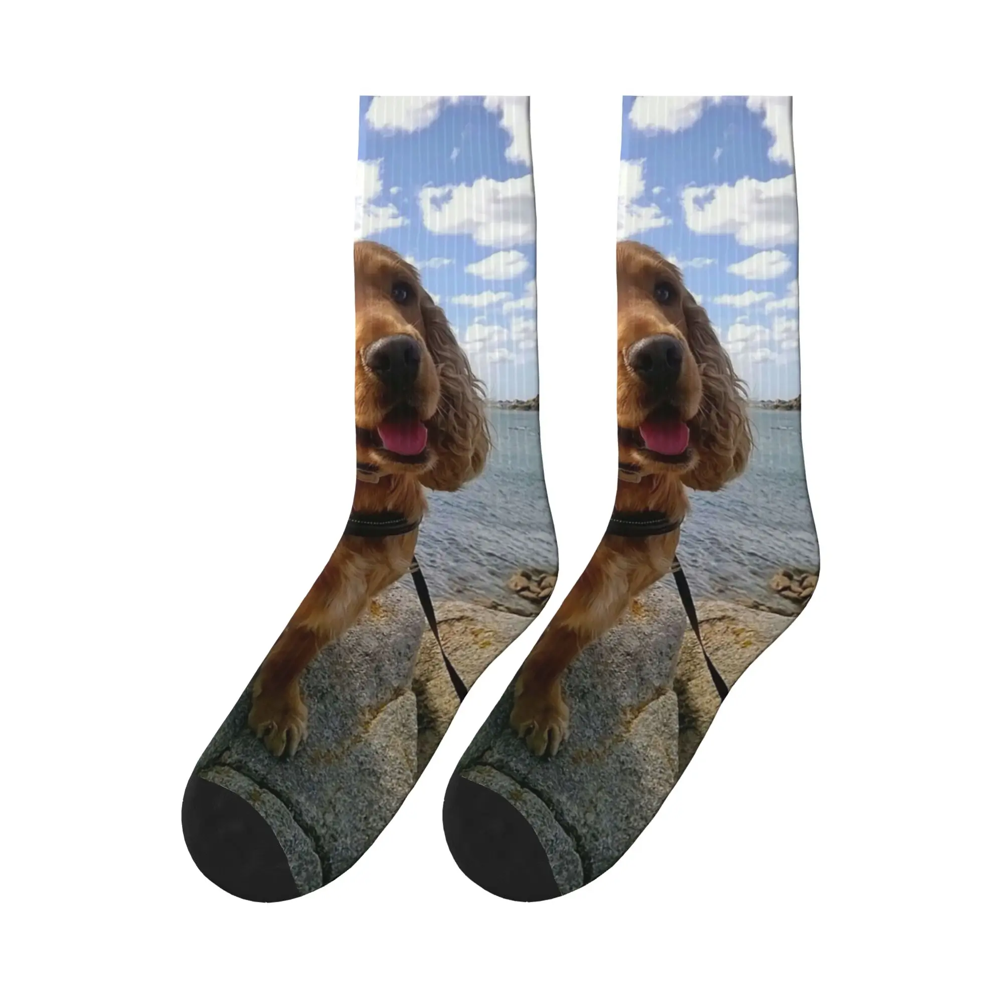 

Funny Cool Cocker Spaniel Dog Animal Sports Socks High Quality Stockings All Season Long Socks for Man's Woman's