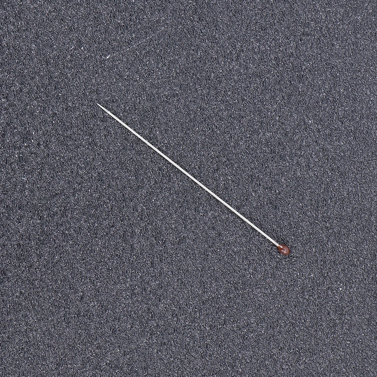 

100pcs Stainless Steel Insect Specimen Pins Rust-Resistant For Mounting Displaying Small Medium Specimens Science