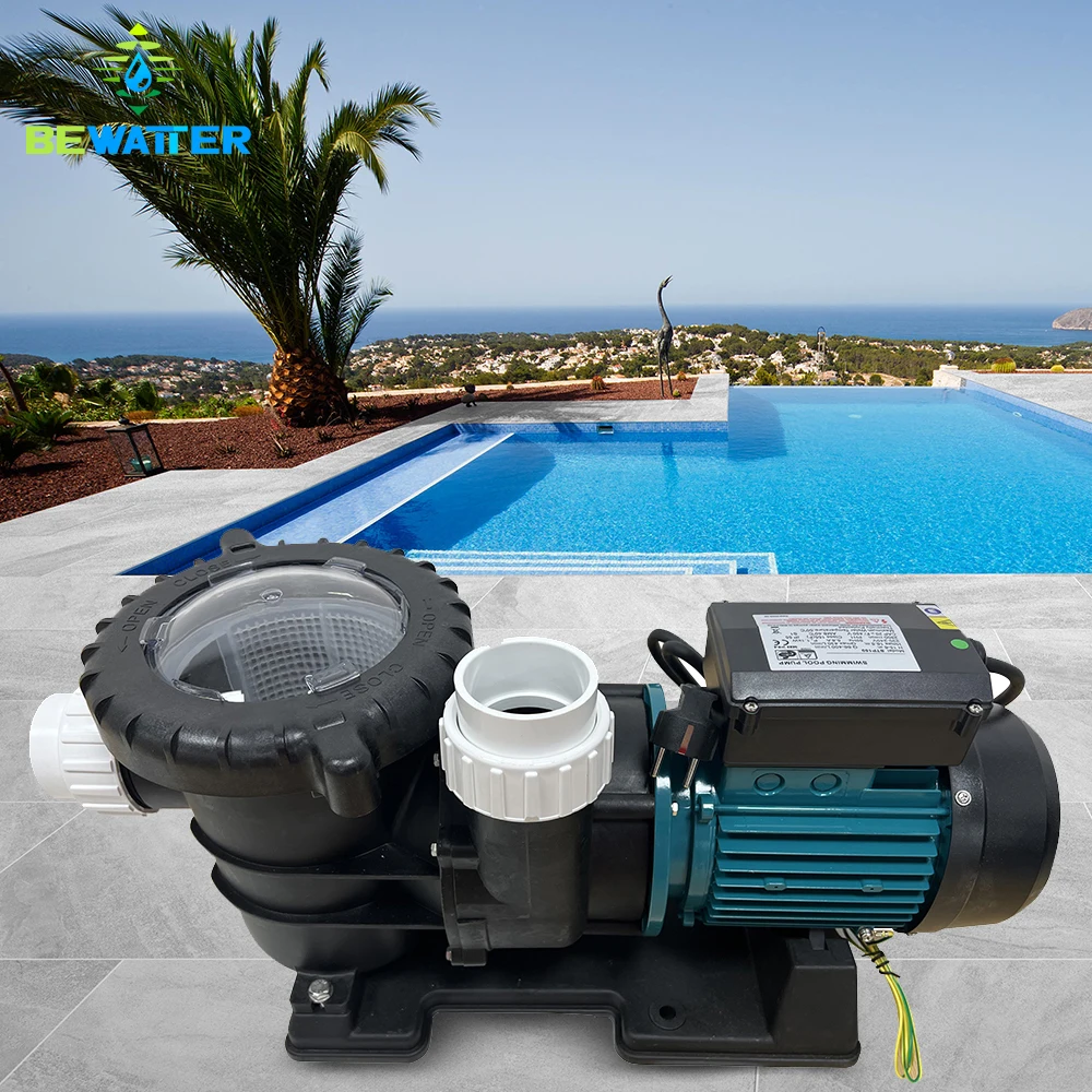 Immagine 3: Pompa per acquacoltura monofase autoadescante da 1.5HP, 2HP, 2.5HP, 3HP per acqua di mare
