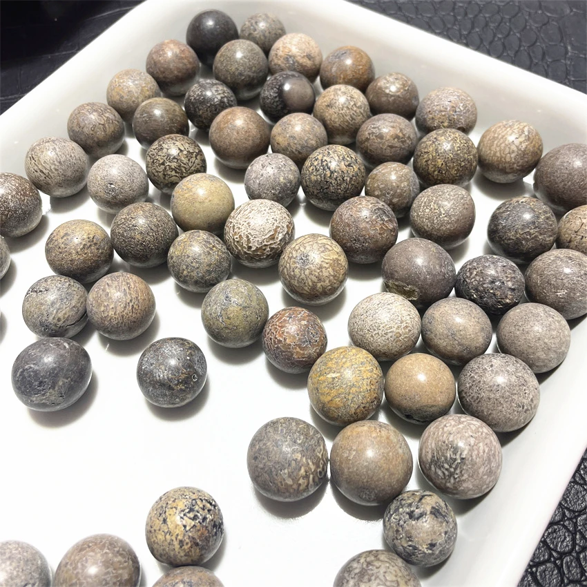 3pcs Dinosaur Bone  Ball Natural Stone Sphere Smooth Polished Pebble Reiki Healing Chakra Stone Home Decoration