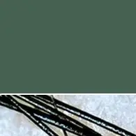 آلة حماية كاشف الجلد لفروة الرأس، محلل فروة الرأس المحمول، صغير لاسلكي لفروة الرأس، جليات الشعر، كاميرا نطاق HD #6