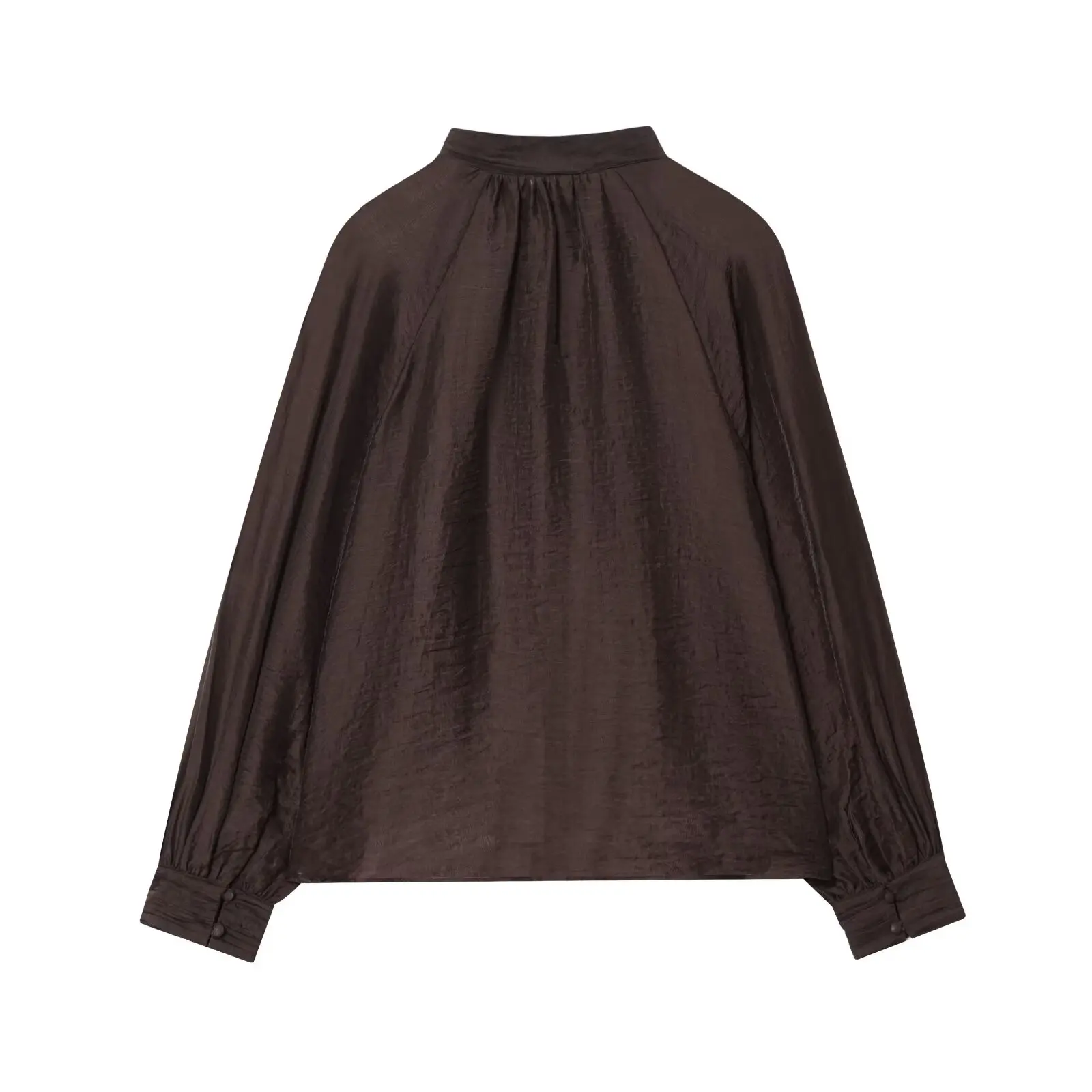 JNLEAOG Women's Bubble Sleeve Semi-Transparent Shirt Autumn New Style 5029192 Polyester Fiber Long Sleeve Fashion Design