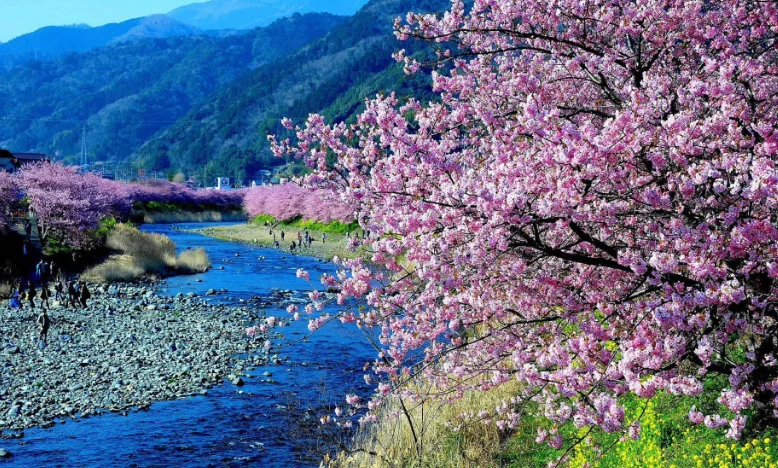 JX PDI-HV5535MG 35 kg wasserdichtes digitales Servo – Metallgetriebe mit hohem Drehmoment für RC-Autos, Boote, Robotik und industrielle Anwendungen