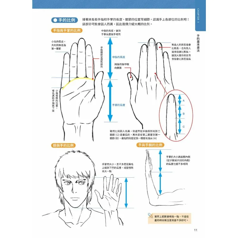 Hand Drawing Tutorial The Hand of God Official Illustrated Guide Detailed Illustrations Takahiro Kagami Human Anatomy Drawing
