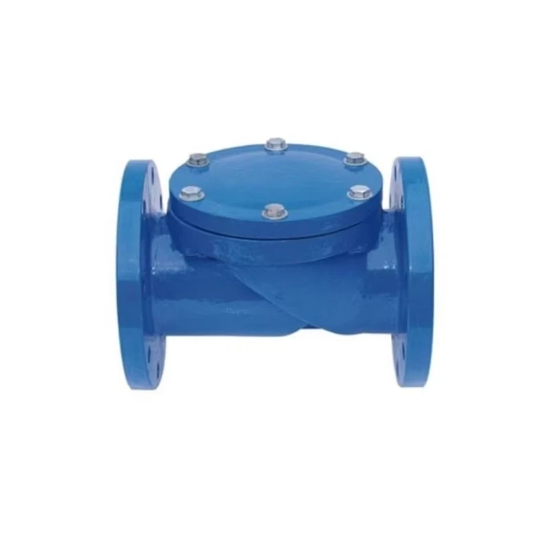 Rubber ball check valve for water, stem check valve