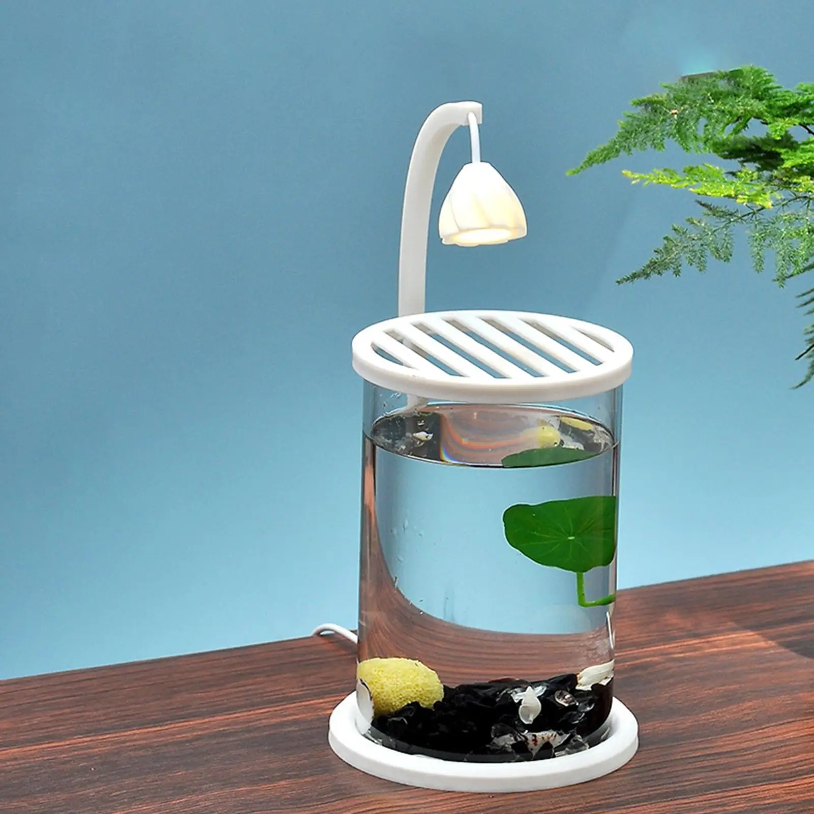 

Светящийся аквариум Betta, прозрачный смотровой орнамент для аквариума, утолщенное украшение для спальни, стола, кабинета, рабочего места, классной комнаты