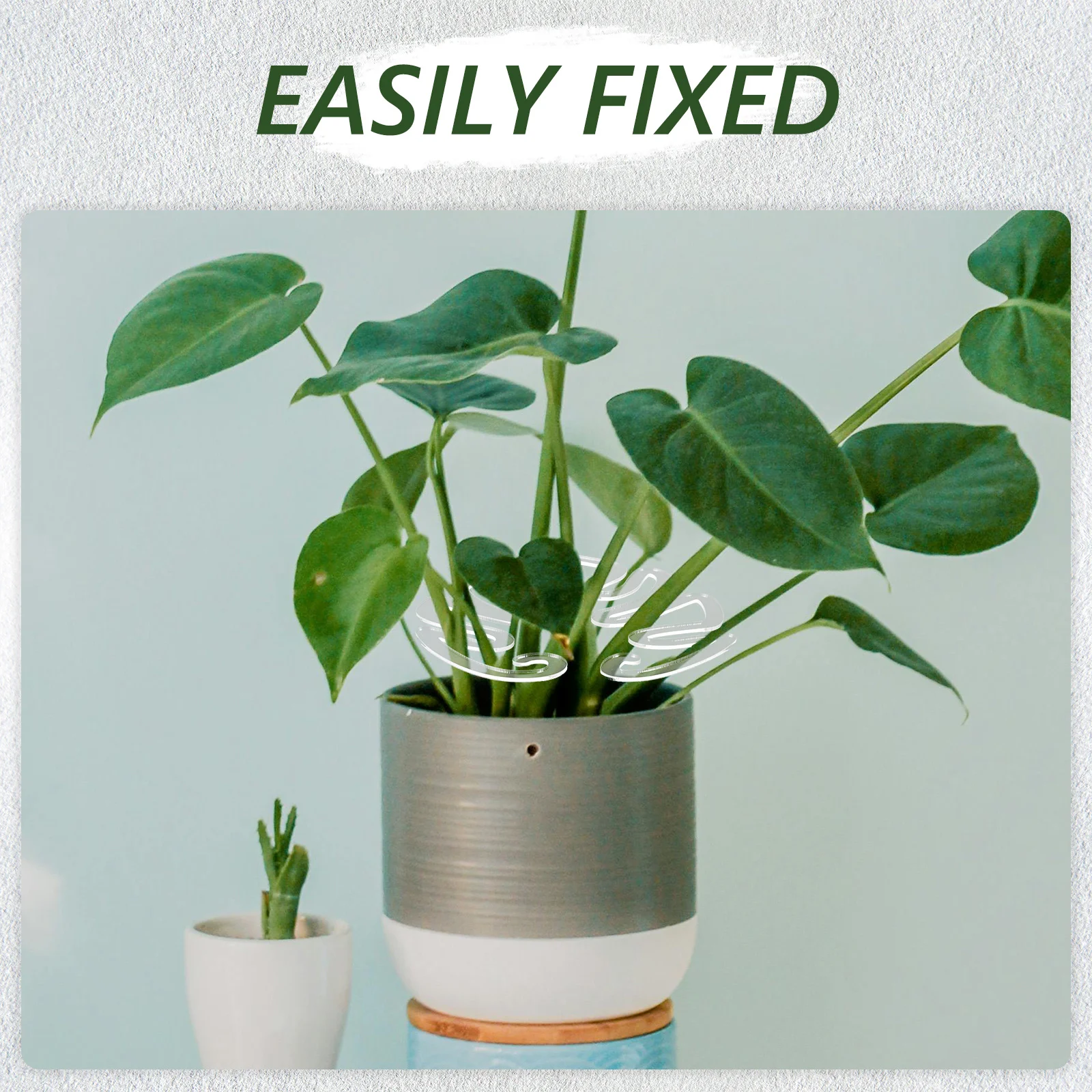 

Monstera Plant Stem Support Bracket Acrylic Flower Stems Rack Easy Install No Tools Required High Stability Versatile Design